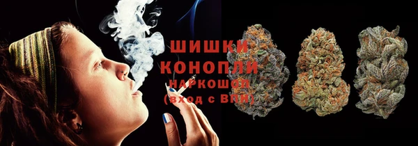 крисы Дубна