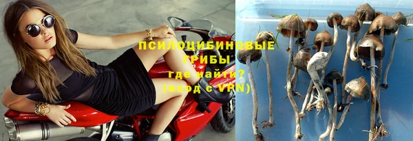 герыч Алзамай