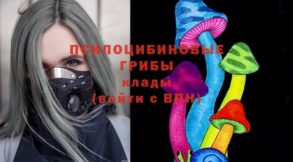круглые Алексеевка