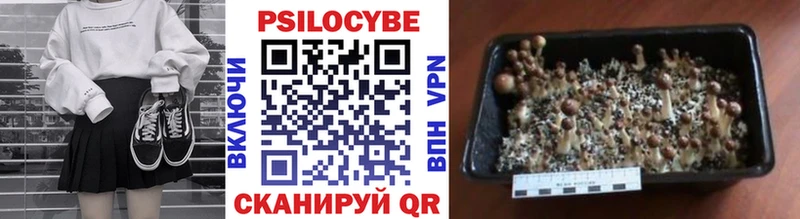 Галлюциногенные грибы прущие грибы  где продают   Асино 