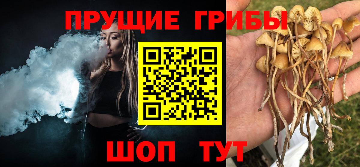 Псилоцибиновые грибы прущие грибы  Вход с VPN  Асино  Галлюциногенные грибы Magic Shrooms 