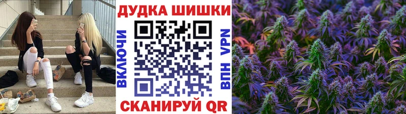 где купить наркотик  Асино  блэк спрут ССЫЛКА  Конопля LSD WEED 
