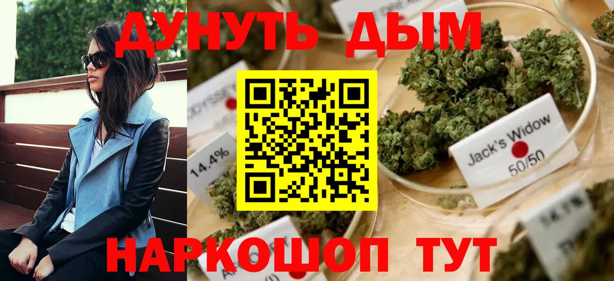 Бошки марихуана сатива  Шишки марихуана план  Бошки марихуана Ganja  Асино  Вход с VPN 